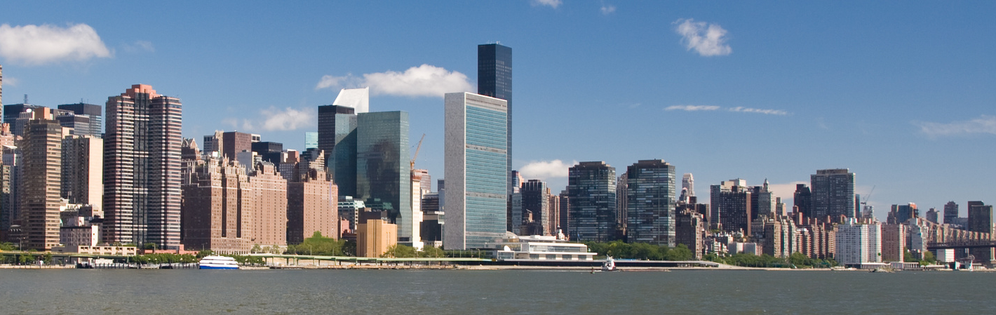 UN Studies Association
